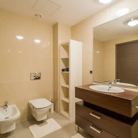 Twin Silver Mountain Apartment Poiana Brasov
